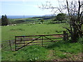 Field entrance near Oldhamstocks Mains