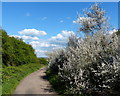 Cufflins Pit Lane in Mountsorrel