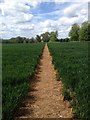 Field path