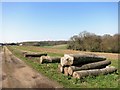 Logs at Woodlands Farm