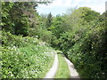 Track to Combe Martin