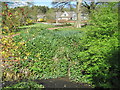 Harlow Carr in late spring