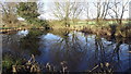 Pond near Fields Farm, Osbaston