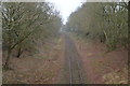 Mid Norfolk Railway in a cutting