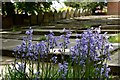 Bluebells in front of gravestones "laid flat" at St John The Baptist