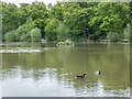 TQ2796 : Jack's Lake Hadley Wood, Barnet, Hertfordshire by Christine Matthews