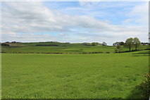 NX7659 : Farmland near Halmyre by Billy McCrorie