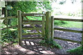 Footpath through the field