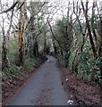 Narrow lane climbs away from Risca Road Rogerstone