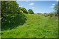 Lydford Norman Castle