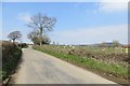 A Marshwood Vale yellow road