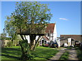 Tree house at Redlay Cottages