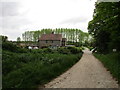 Cottages at Bilby