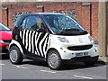 Zebra Smart ForTwo, Endwell Road