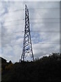 Pylon on Edgebarrow Woods, Owlsmoor