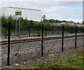 Distant signal sign alongside the railway near Ebbw Vale Town station