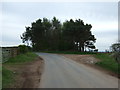 B6437 towards Chirnside