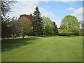 Specimen trees, upper Jephson Gardens, Royal Leamington Spa