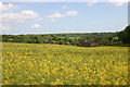 View south-east from Sussex Border Path