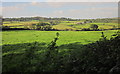 Farmland near Treveria