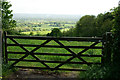 Gate With a View