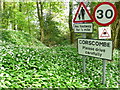ST5204 : Wild Garlic and Road signs. by Nigel Mykura