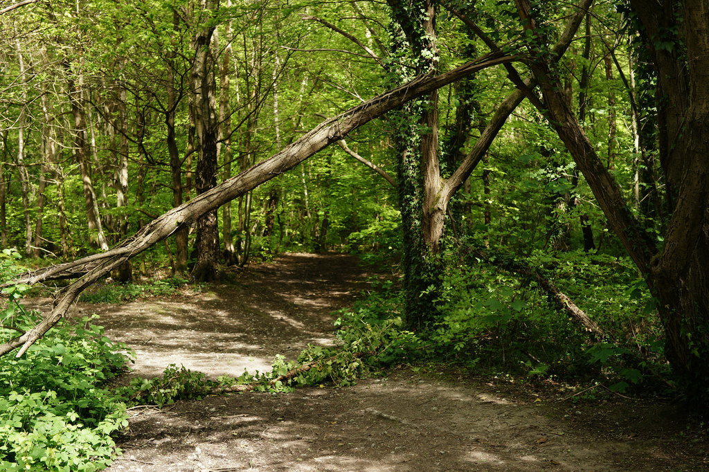 In Limpsfield Chart © Peter Trimming cc-by-sa/2.0 :: Geograph Britain ...