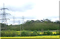 Pylons near The Grove woodland