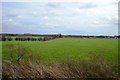 Farmland, Lache Eyes