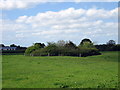 Pond near Tybroughton Hall