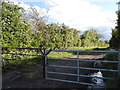 Field entrance, Halton Village