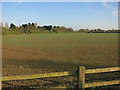 TL3559 : Arable field, Childerley Gate by Hugh Venables