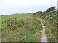 Farm Path View