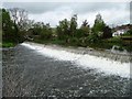 ST6968 : Swineford weir, River Avon by Christine Johnstone