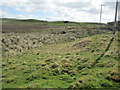 Rough land at Torness