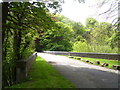 Bridge into Stackpole Centre