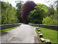 Bridge into Stackpole Centre