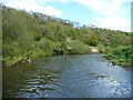 The River Avon below Cleeve Wood