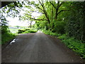 Holmwood Common:  Footpath, no bridleway