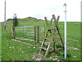 Ladder stile on the Aran Benllyn ridge path