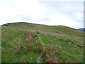 Path up Aran Benllyn