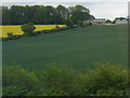 Lower Aynho Grounds Farm seen from the M40