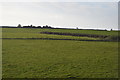 Purbeck Farmland