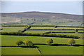 West Somerset : Countryside Scenery