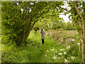 Track between Lathom Chapel and the War Memorial