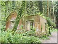 Ruined building in Hedgecock Hill Woods, Montacute