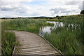 Dumbreck Marsh Nature Reserve