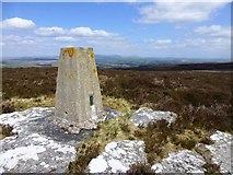 NY9695 : Trig point on Darden Pike by Russel Wills