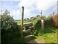 Footpath On The Edge Of Madron