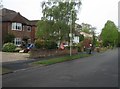 Bin day in Leopold Avenue